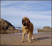 Spain, 1year, click for enlargement